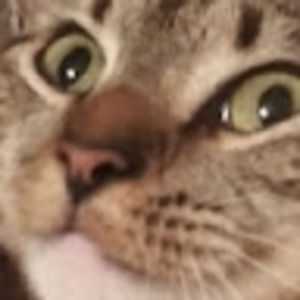 Meet your Posher, Richard